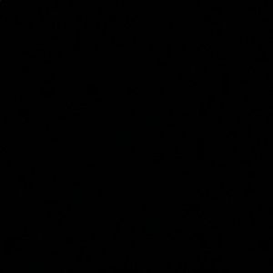 Meet your Posher, Kenzie